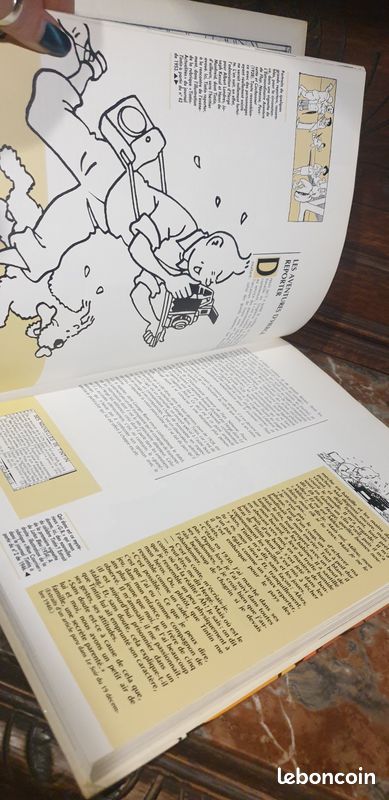 📚 Hergé et Tintin reporters 📚 (image 4)