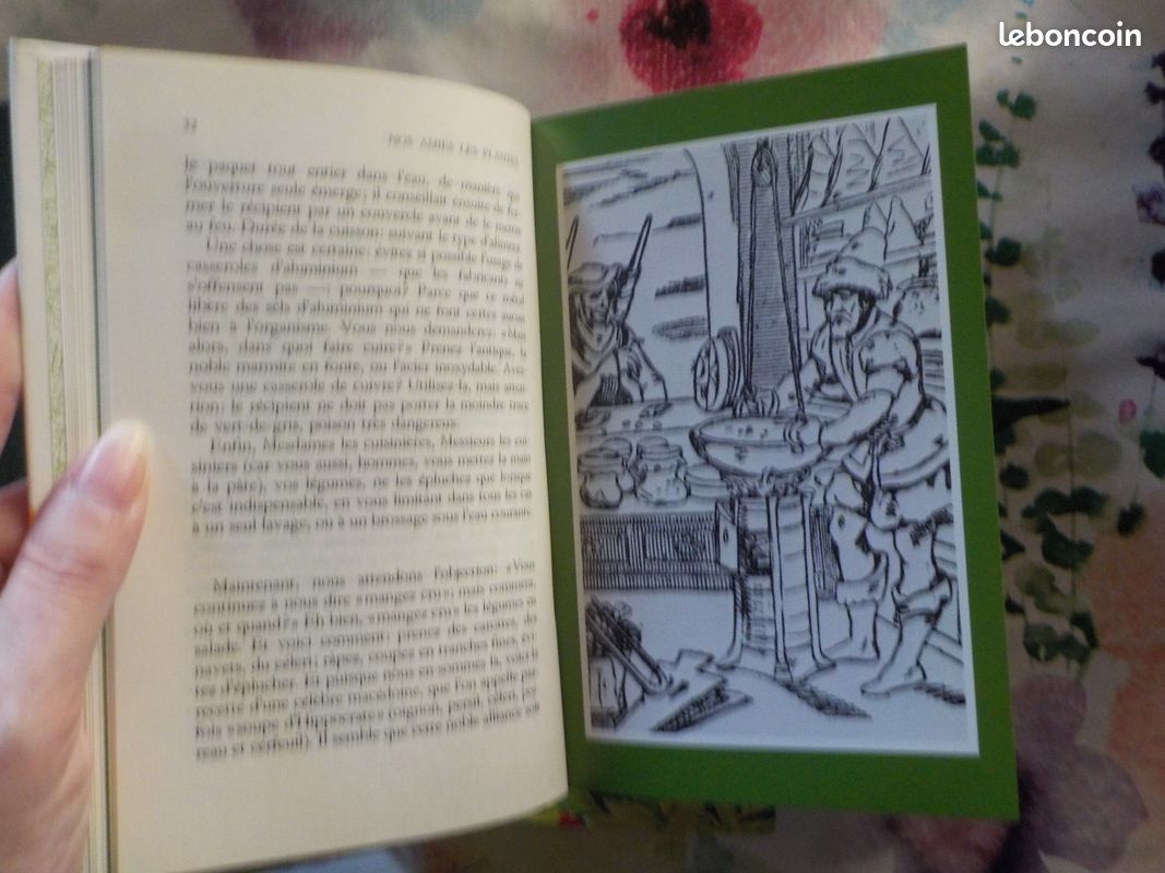 NOS AMIES LES PLANTES T1 à 3 par D. MANTA et D. SEMOLLI Ed. Famot (image 11)