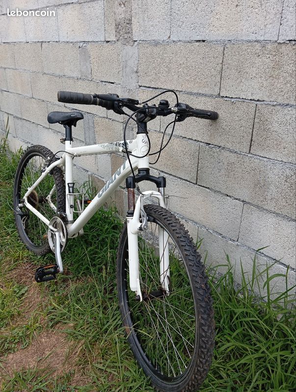 ② Chargeurs pour Vélos Giant en Ligne