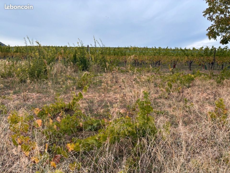 Terrain 631 m² · à Obermorschwihr · 170 000 €