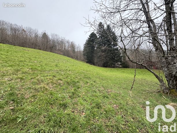 Terrain 5810 m² La Bresse
