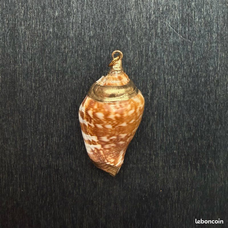 Pendentif coquillage naturel avec dorure (image 1)