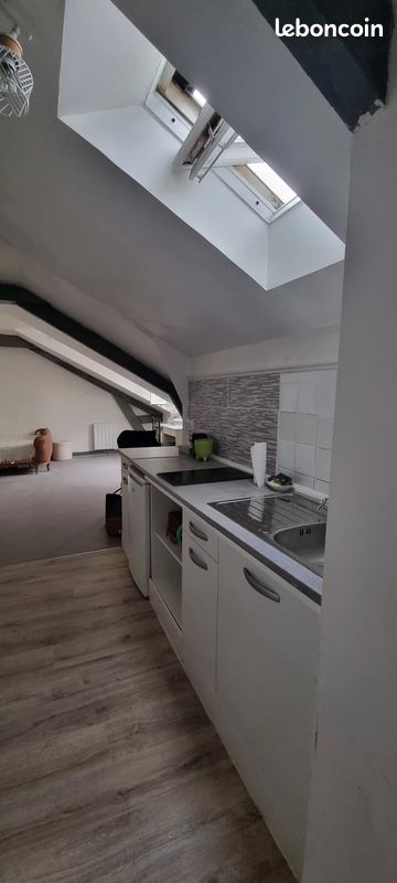 Appartement 1 pièce 26 m² - Limoges 87000 (image principale 3)