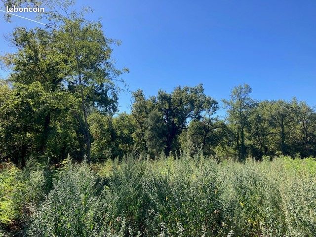 Terrain 938 m² · à Liposthey · 55 000 €