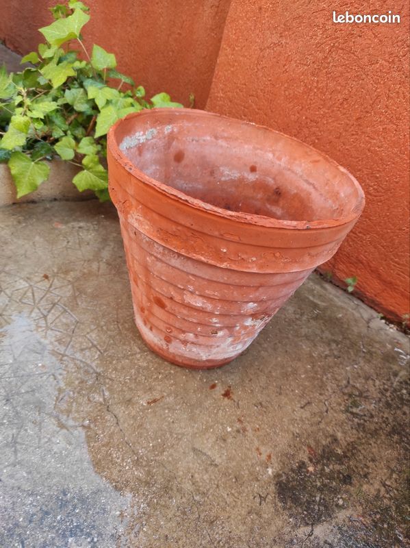 Jardinière pot de fleur plante en terre cuite vintage (image 3)