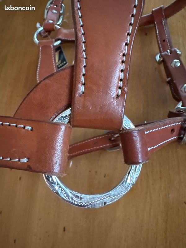 Générique Selle, Bridon Et Col De Poitrine Cuir Véritable 12 Po