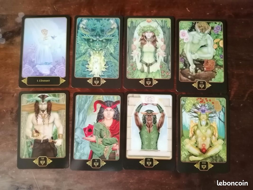 Le tarot des rêves de Gaïa (de Ravynne Phelan)- relié et illustré (image 11)