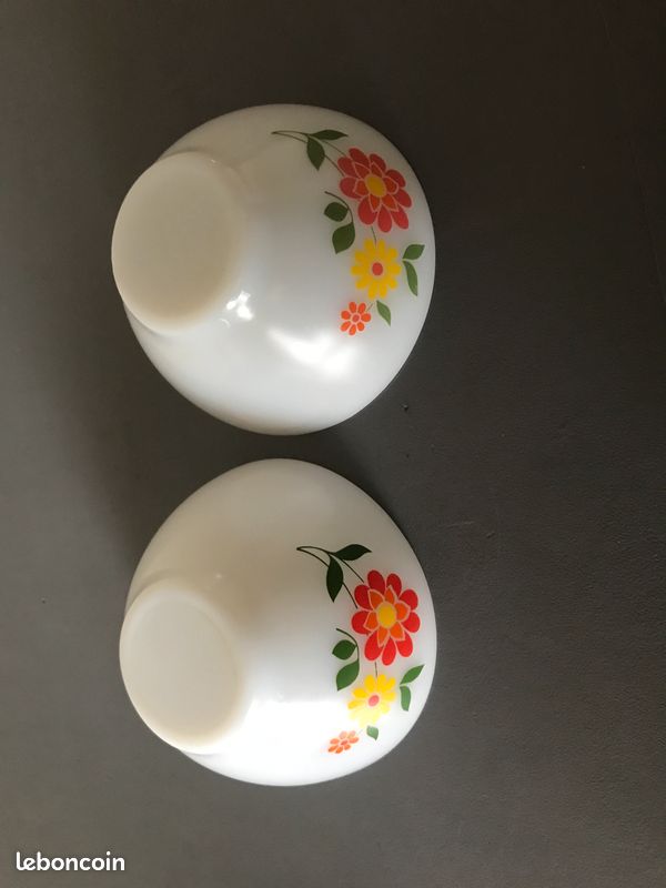Lot De 2 Bols Vintage Arcopal - Verre Bleu à Motif Fruits