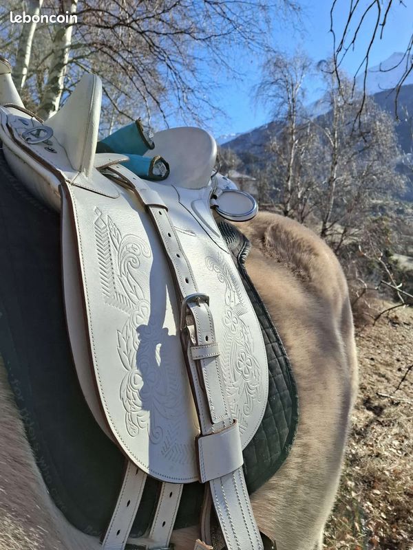 Selle australienne en cuir blanc avec filet blanc assorti (image 1)