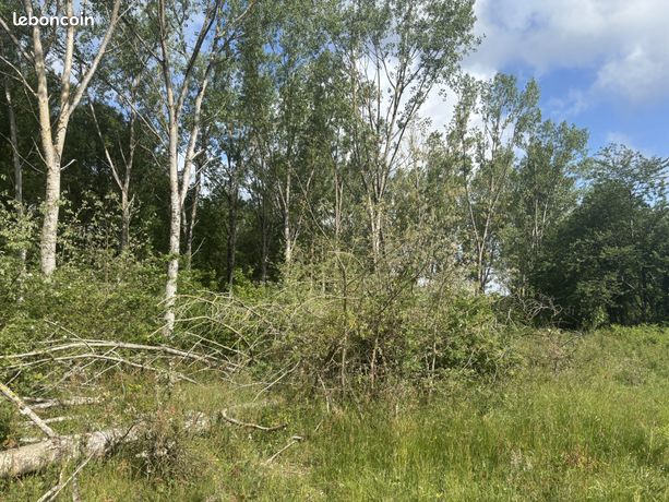 Terrain 17009 m² Baugé-en-Anjou