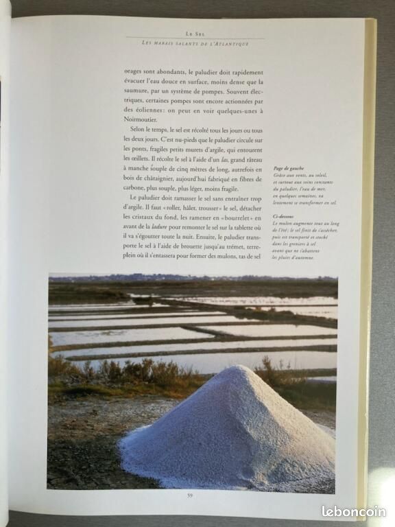 Le sel (image 3)