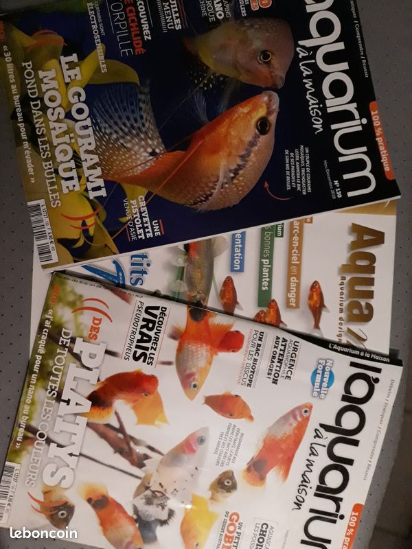 Magazine aquariophilie (image 1)