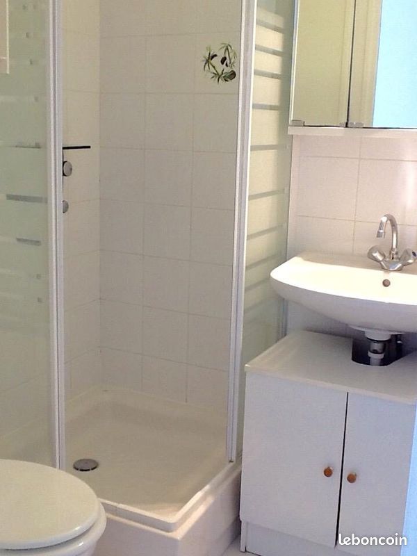 Duplex 3 pièces 46 m² (image 12)