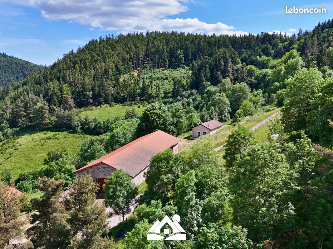 Maison 4 pièces 300 m² · à Saint-Pierre-sur-Doux · 300 m² · 299 000 €