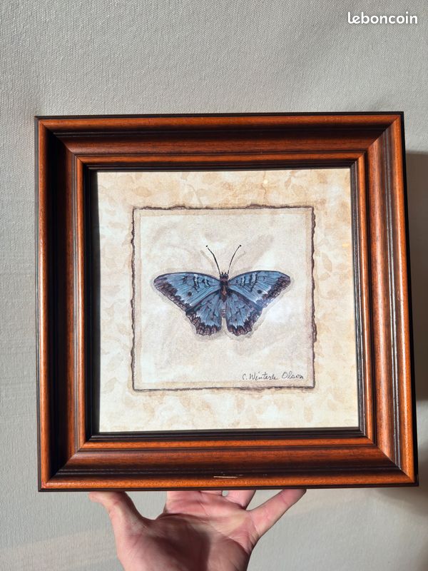 Petit Tableau Encadré Sur Soie - Motifs Papillons - Déco Vintage