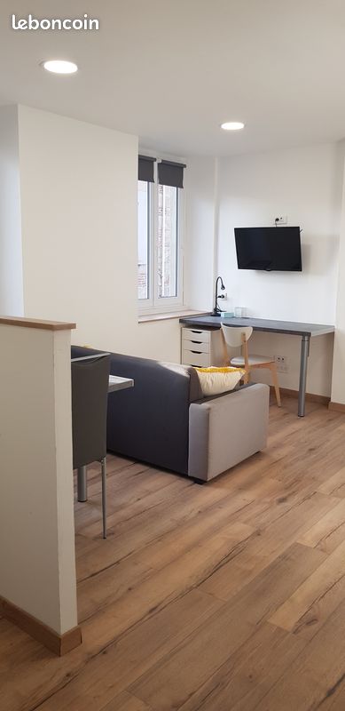 Appartement 1 pièce 31 m² · à Saint-Étienne · 31 m² · 430 €/mois