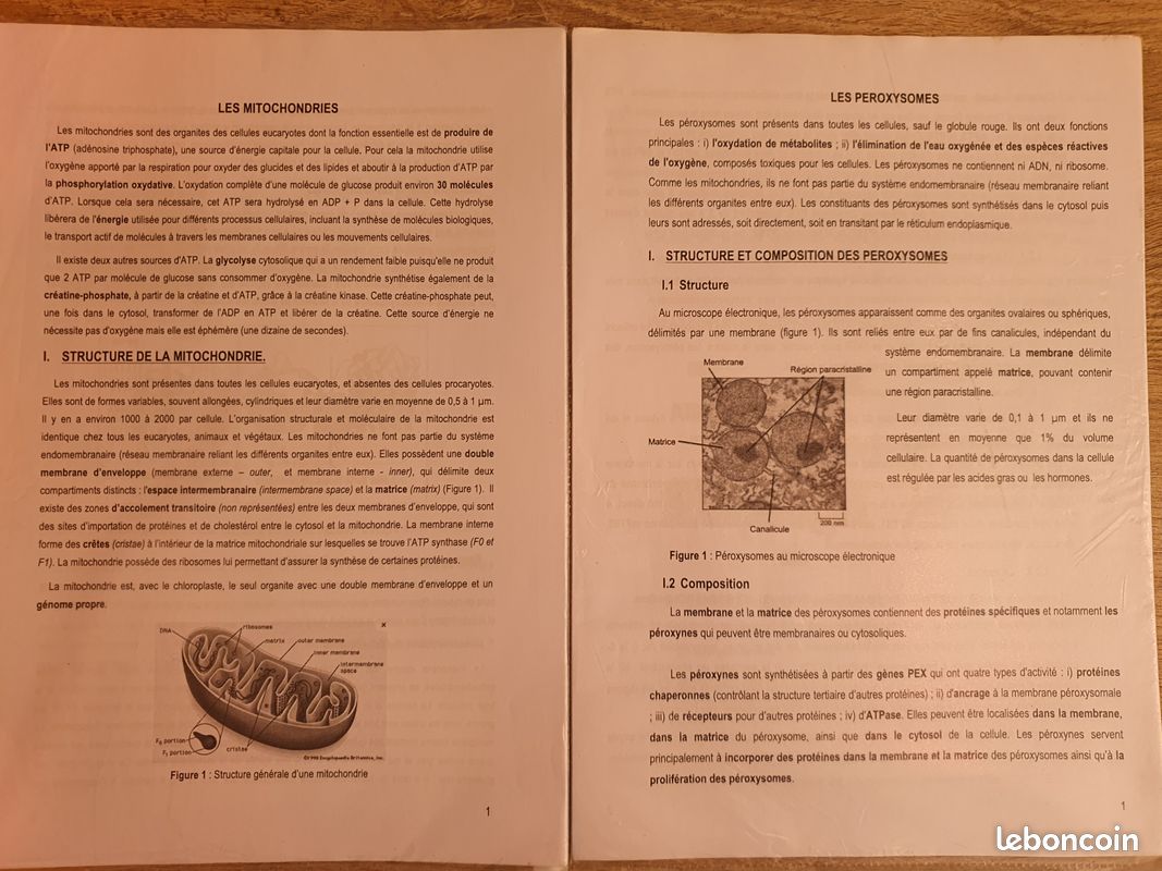 PACES Polys 2013-2014 fac Médecine Créteil (image 8)