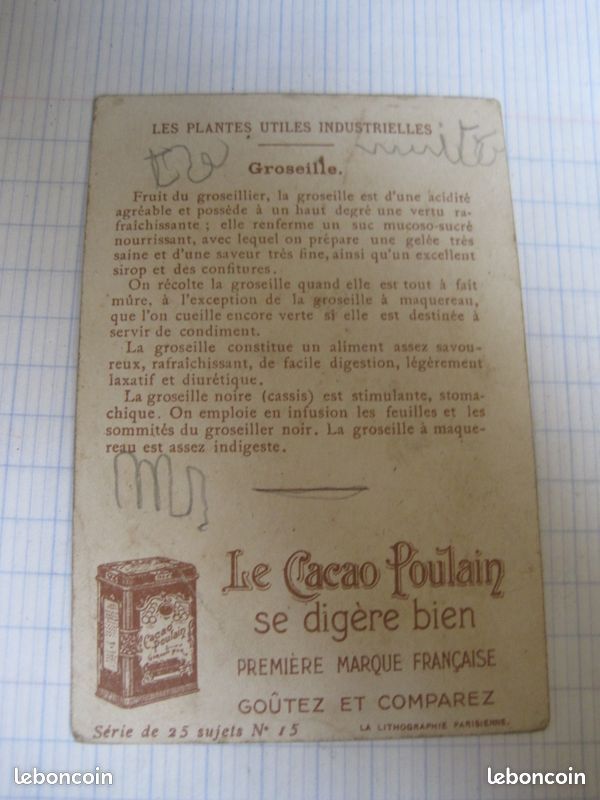 Ancienne image chromo les plantes utiles chocolat poulain orange (image 2)