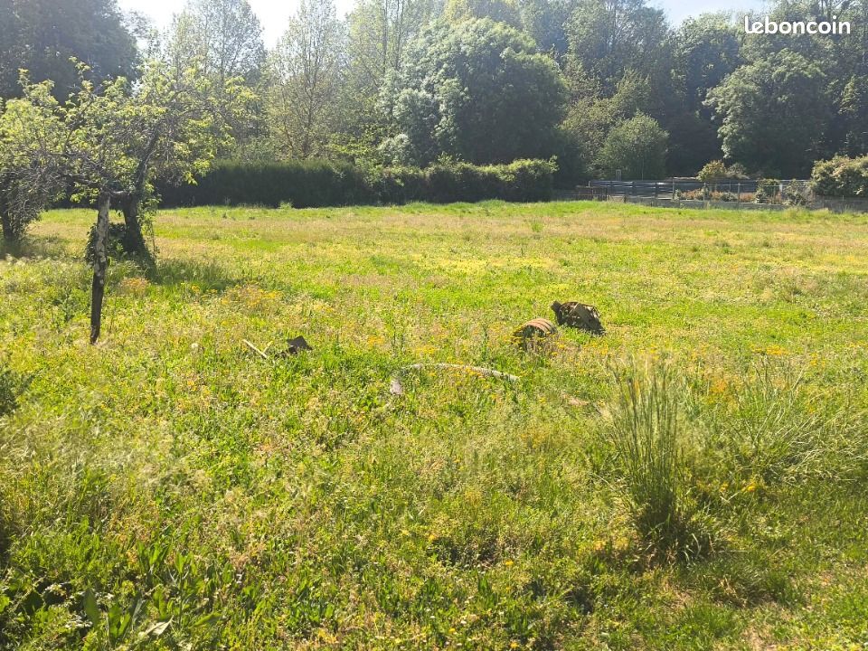 Terrain 1 250 m² Nercillac · 59 990 €