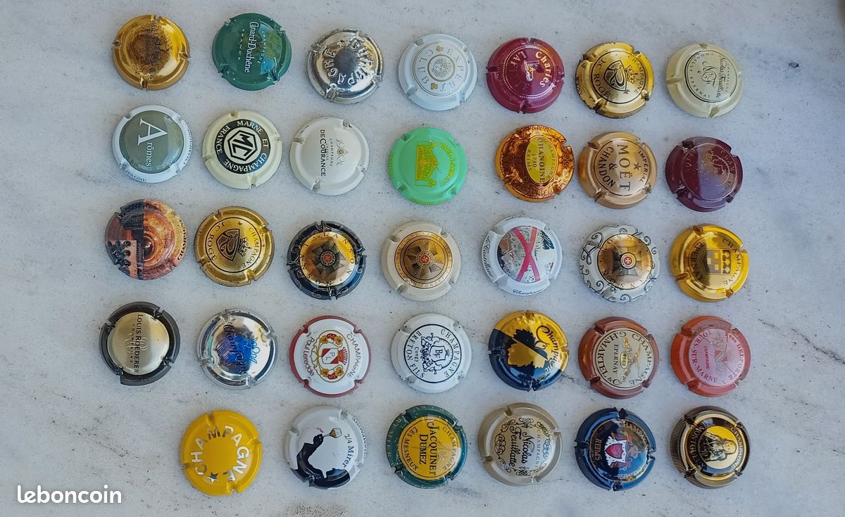 75 capsules pour Placomusophile différentes (image 2)