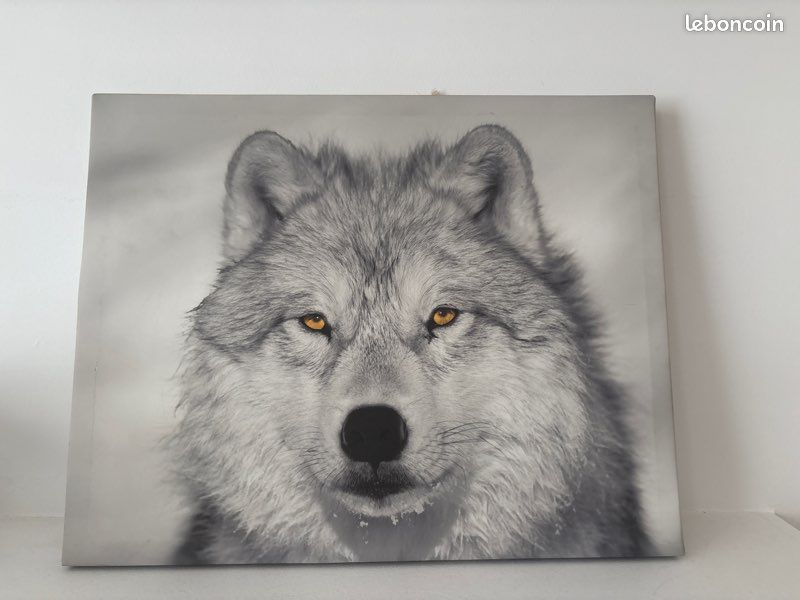 Tableau LOUP (image 1)