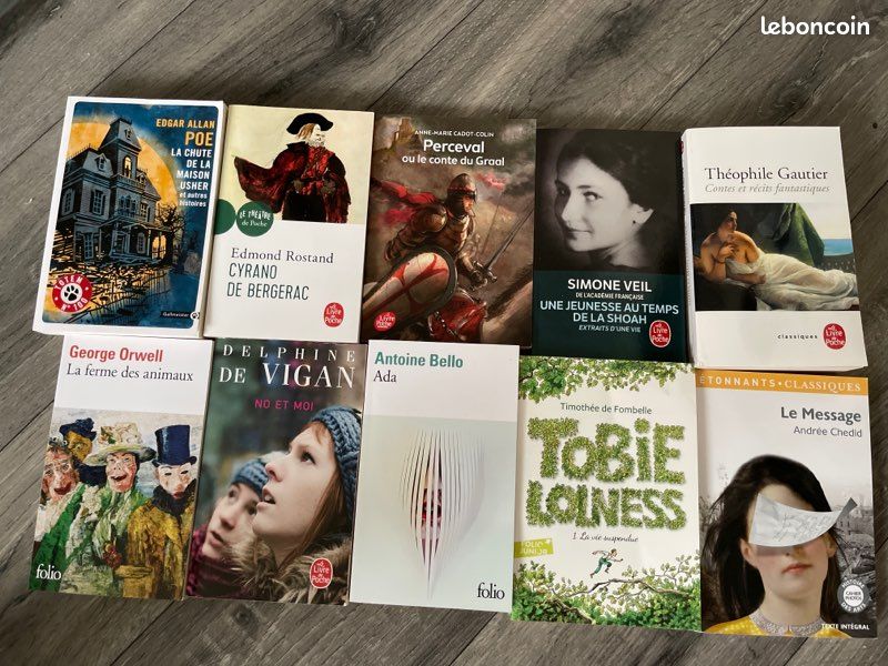 Lot de 10 livres (image 1)