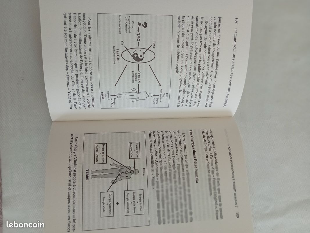 Un corps pour me soigner, une âme pour me guérir de Michel Odoul + offert 2 livrets de réflexologie plantaire et de shiatsu (image 2)