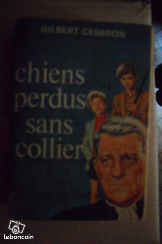 Chiens perdus sans collier -1954 (image 1)