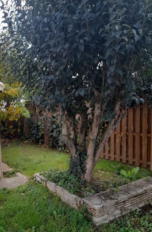 Maison 4 pièces 75 m² · à Toulouse · 75 m² · 300 000 €