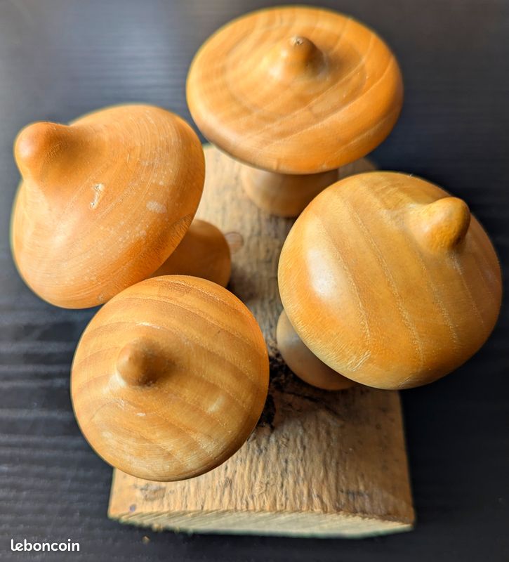 Champignons en bois tourné (image 2)