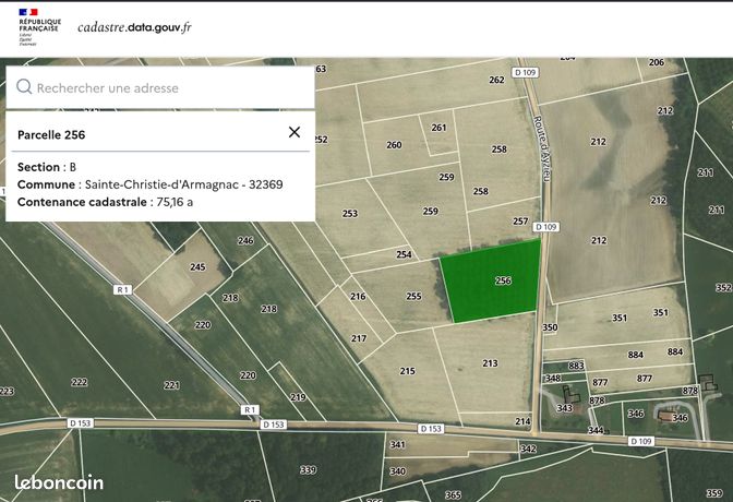 Terrain agricole avec peupliers
