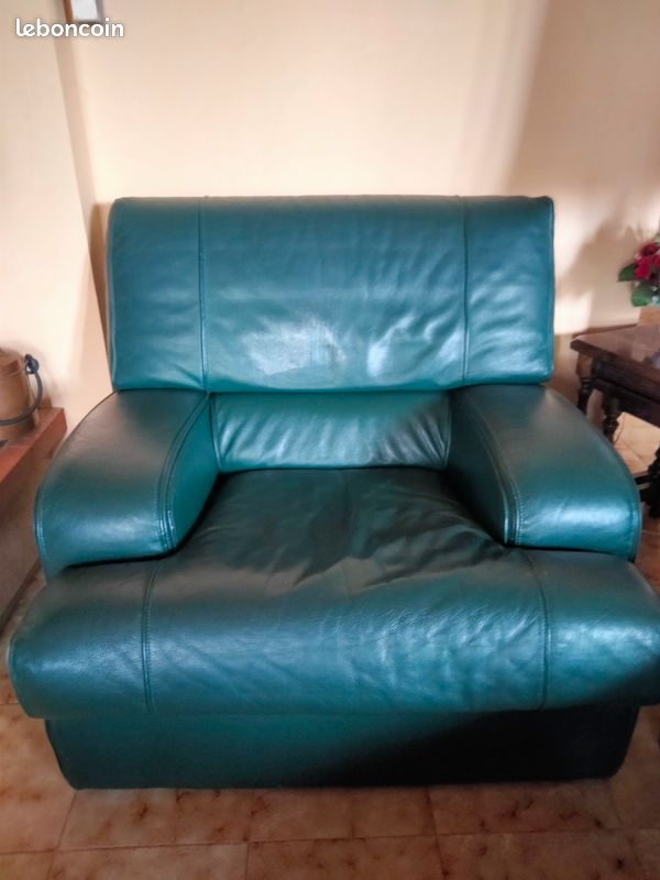 Canapé cuir (image 6)