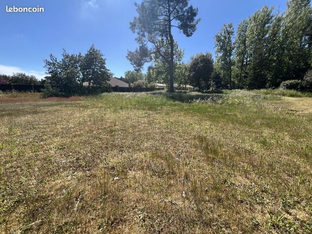 Terrain 945 m² SAINT HILAIRE DE RIEZ