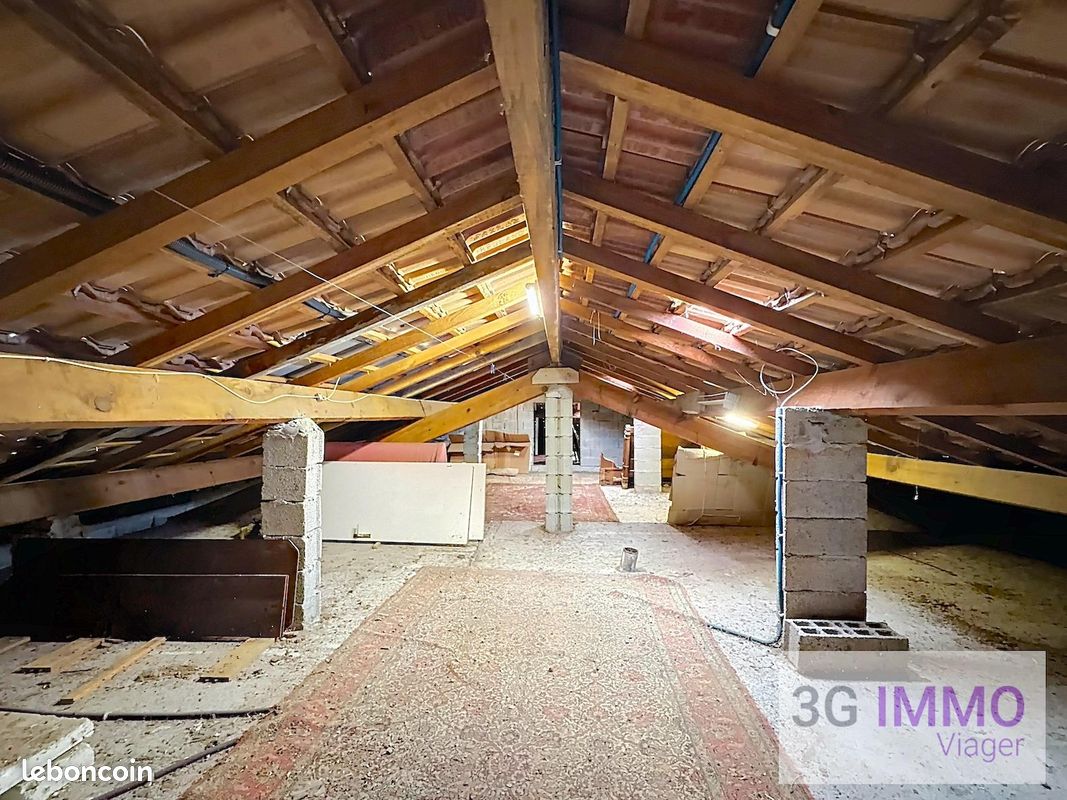 Viager | Maison de plain-pied | 6p | 4ch | 208 m² | Santa-Maria-Poggio | Expo Sud-Est | Terrasse · Jardin · Piscine (image 16)