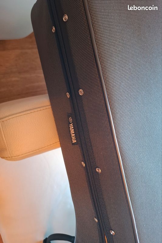 Étui de guitare neuf softcase (image 4)
