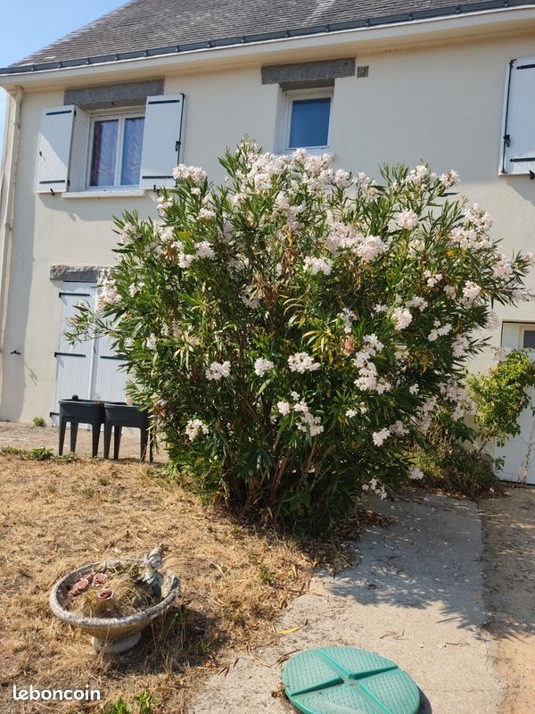 Maison 5 pièces 120 m² · à Saint-André-des-Eaux · 120 m² · 550 000 €