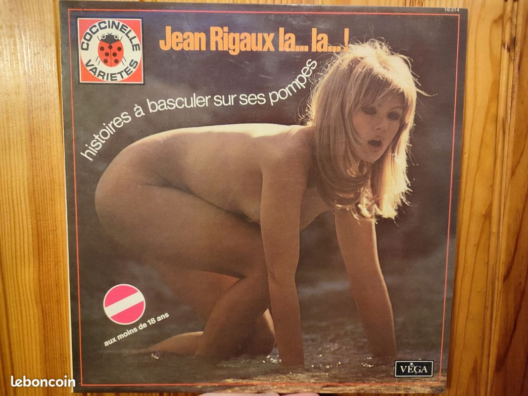 Lot de disques vinyles (image 19)