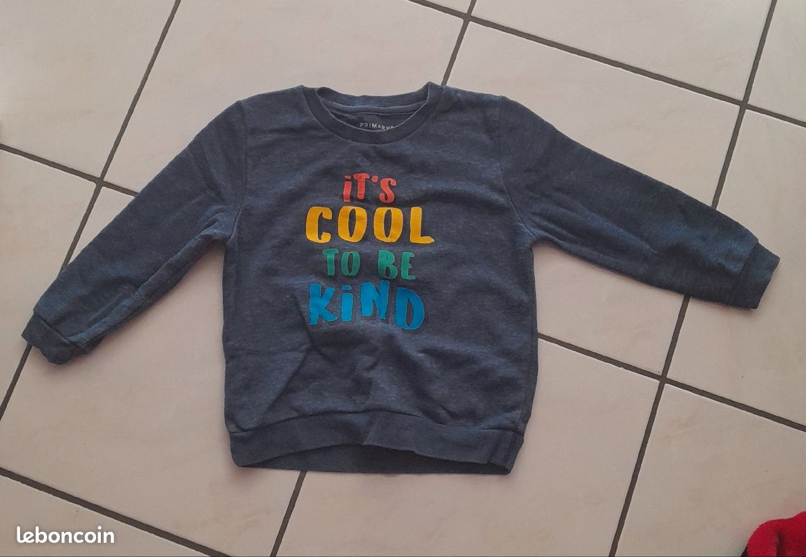 Sweat garçon 3/4 ans (image 4)