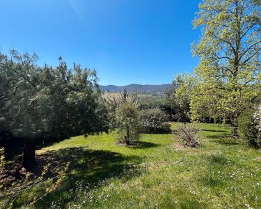 Maison 895 000 € - 199 m²
