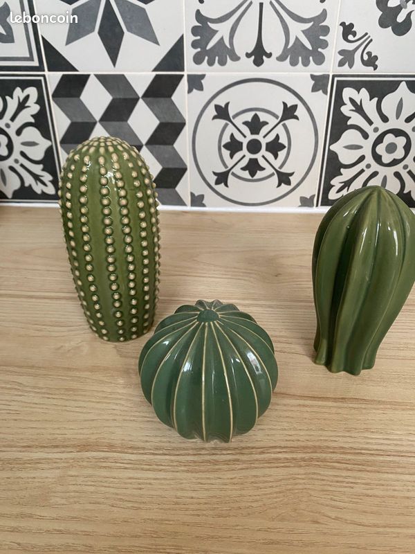 Triptyque cactus (image 1)