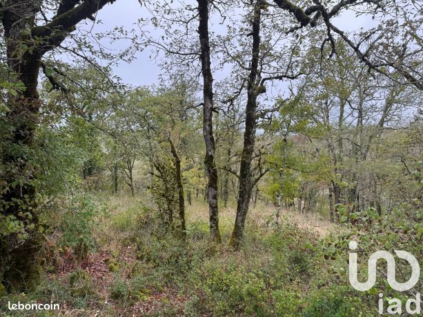 Terrain 1420 m² Saint Géry-Vers