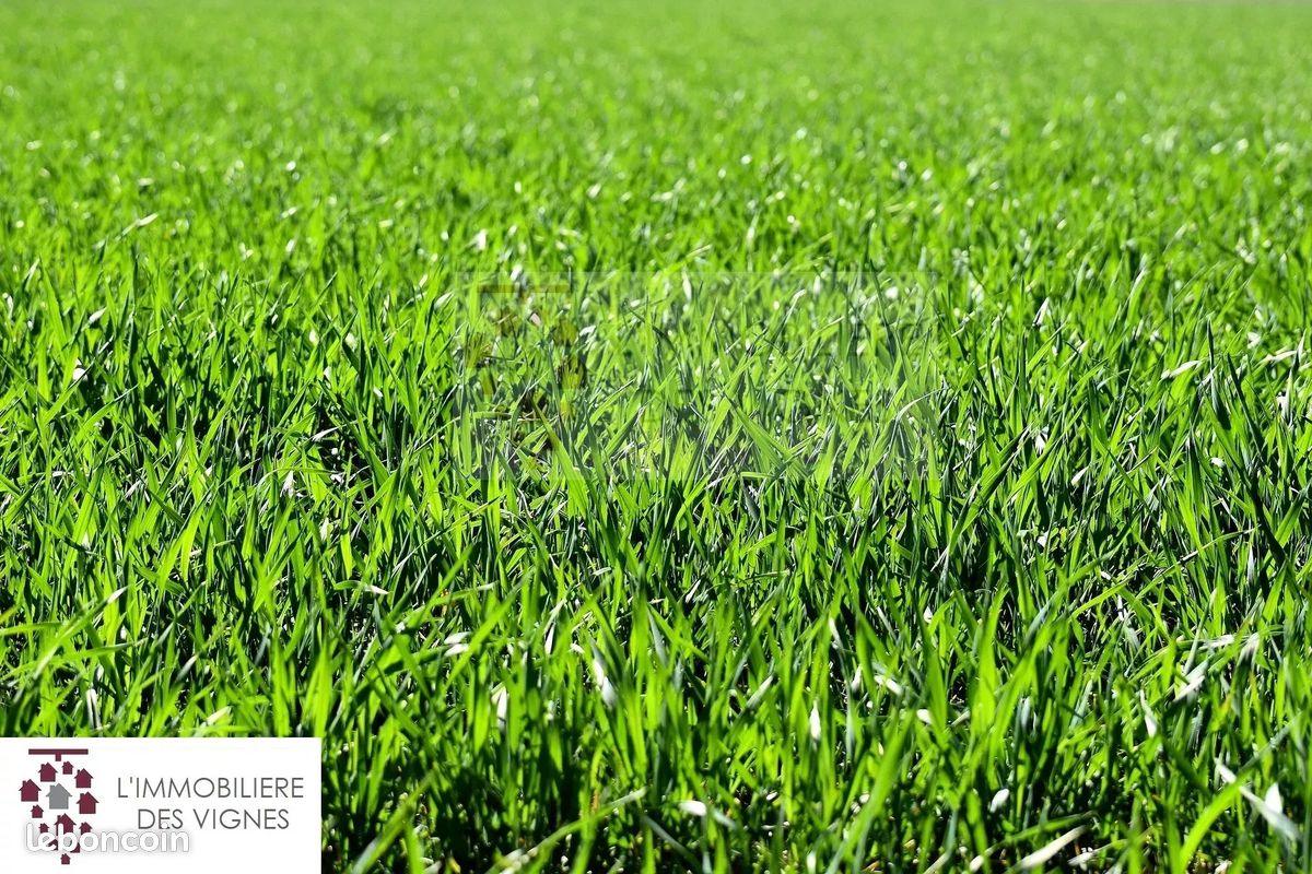 Terrain 590 m² · à Martillac · 590 m² · 156 000 €