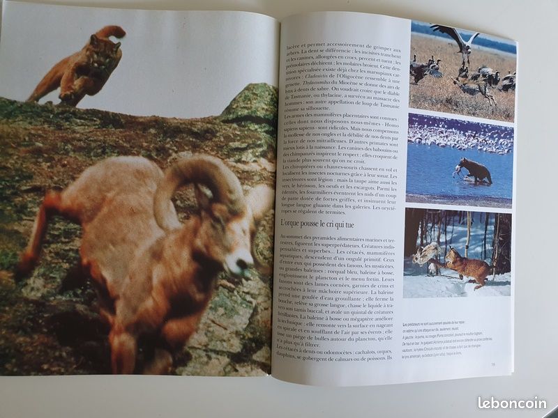 Terre Sauvage Hors-Série N° 08, Guerre Et Paix - Les Armes Des Animaux (image 4)