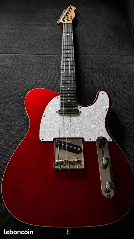 Guitare Partcaster type telecaster (image 9)