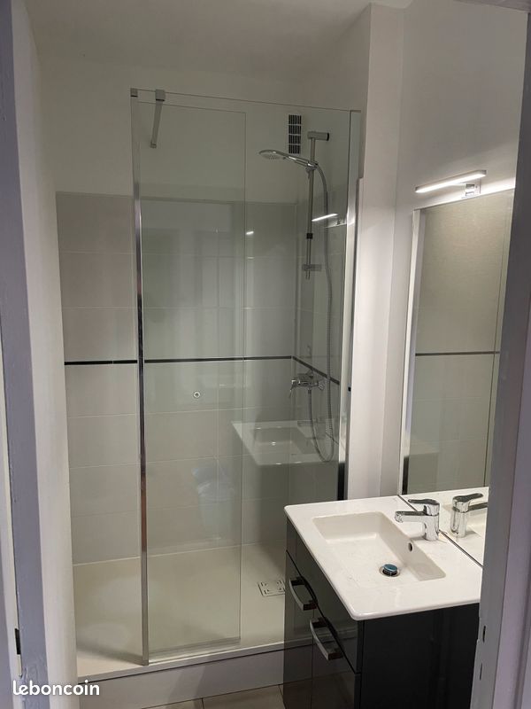 Appartement t3 - Limoges 87000 (image principale 1)