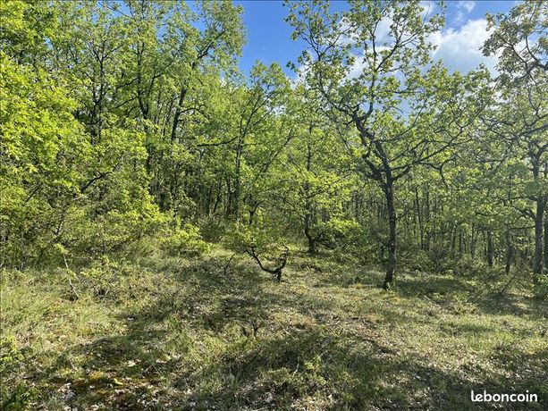 Terrain 5 047 m² Cuzance
