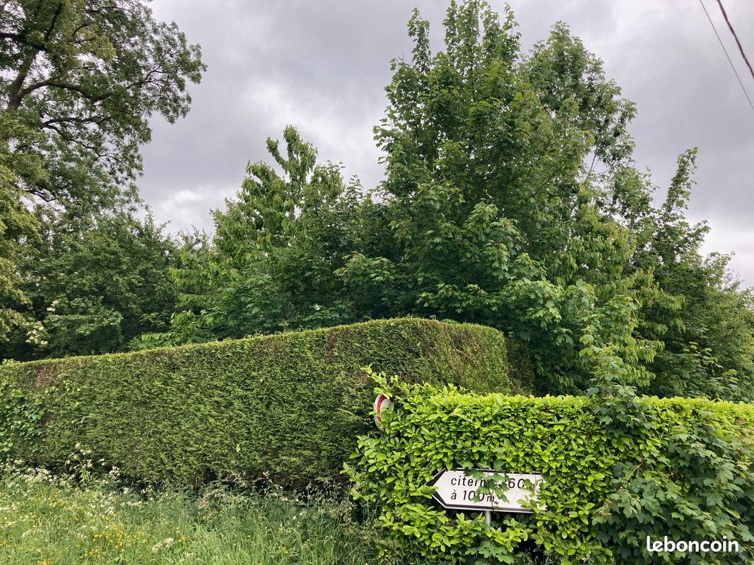 Terrain 1191 m² · à Averdoingt · 1 191 m² · 37 500 €