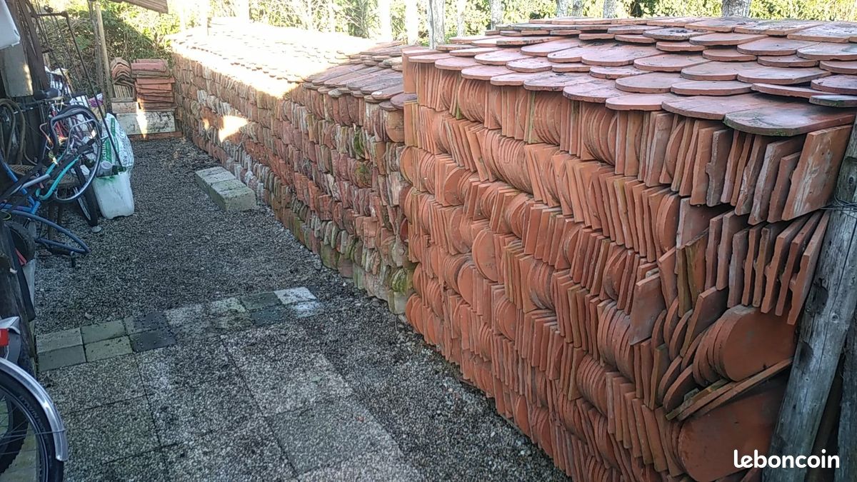 Tuiles plates Bieberschwanz (image 1)
