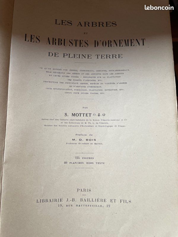 Livre ancien Arbres et arbustes d’ornement de pleine terre (image 3)