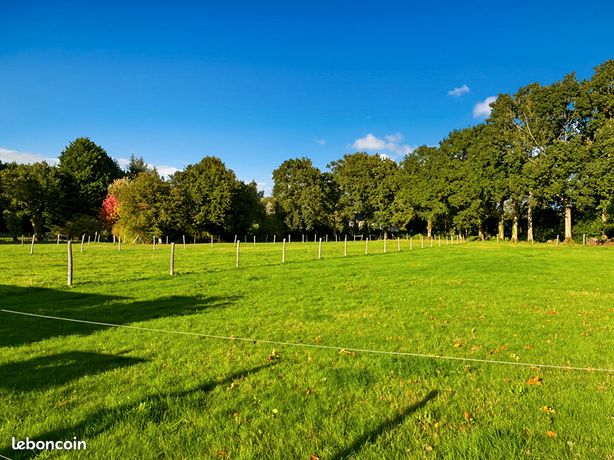 Propriété 7 pièces 143 m² — 17